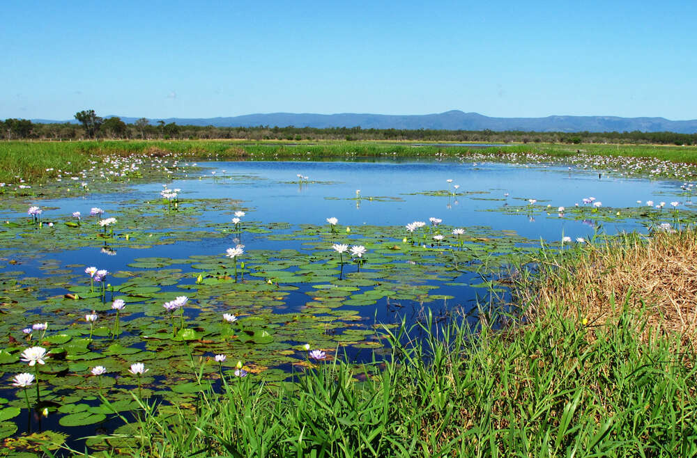 State Freshwater Wetlands Rules: Seeks Public Input