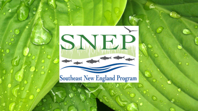 Marisa Desautel Joins Southeast New England Program Network (SNEP)