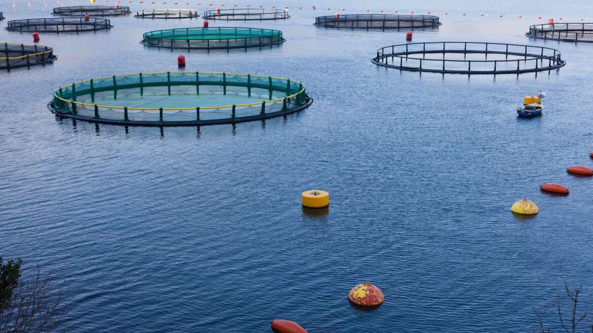 New Environmental Regulations for Commercial Fishing and Aquaculture
