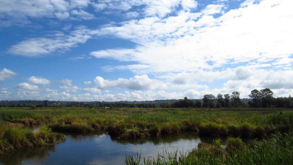 Massachusetts Municipal Permits for Freshwater Wetlands Alterations