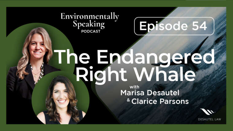 Environmentally Speaking 054: The Endangered White Whale