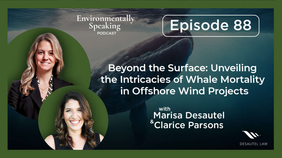 Environmentally Speaking 088: Beyond the Surface: Unveiling the Intricacies of Whale Mortality in Offshore Wind Projects